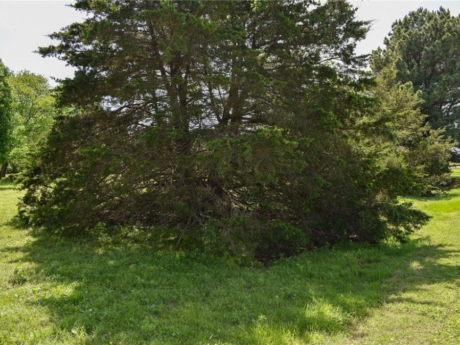 Property Image 56