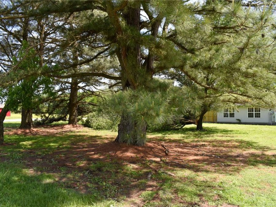Property Image 59
