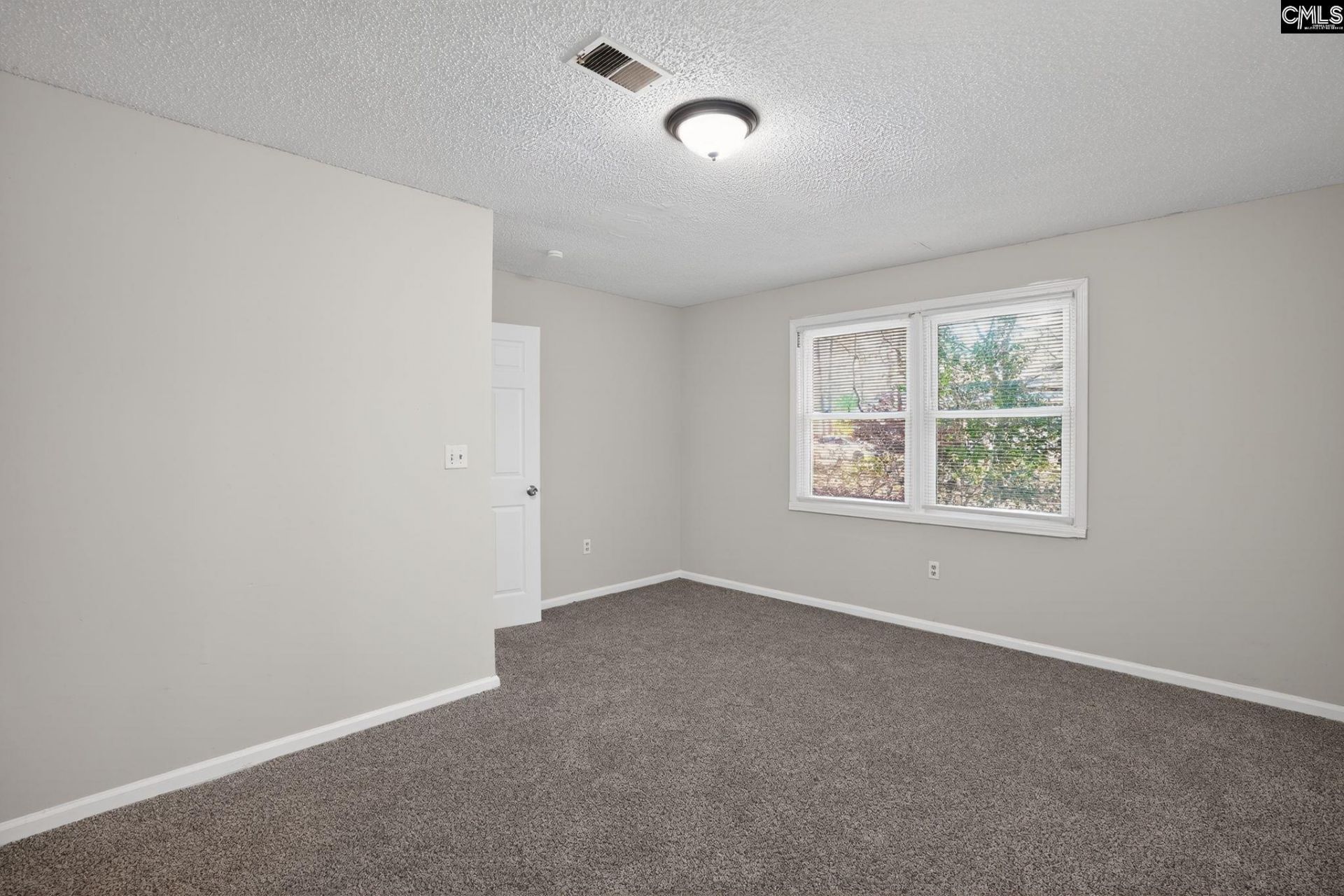 137 Green Tree Drive Photo 21