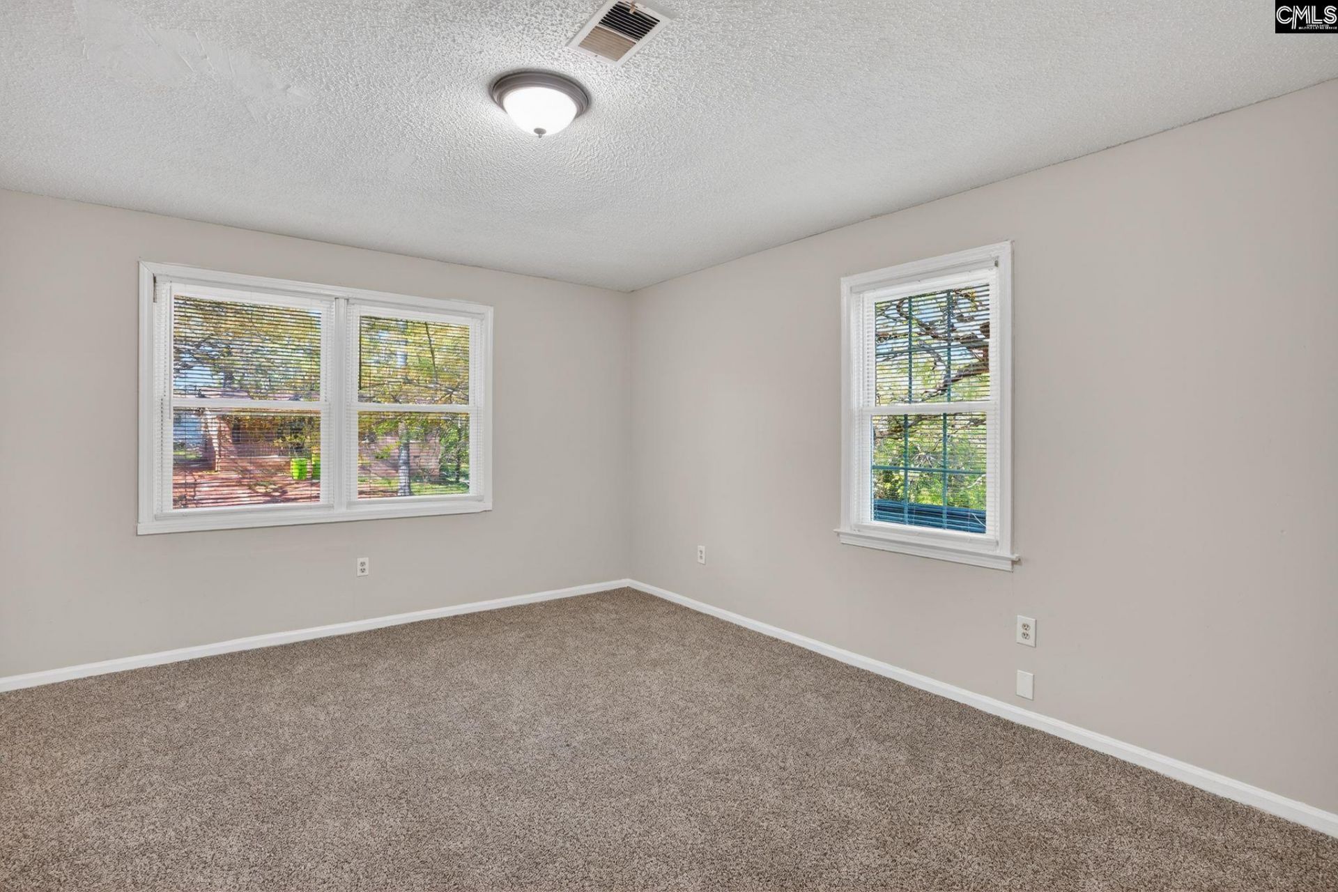 137 Green Tree Drive Photo 22