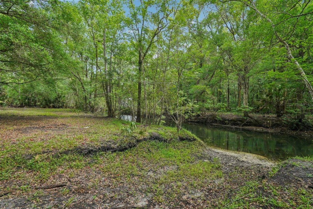217 S Tuck Point, Inverness, FL 34450 Photo