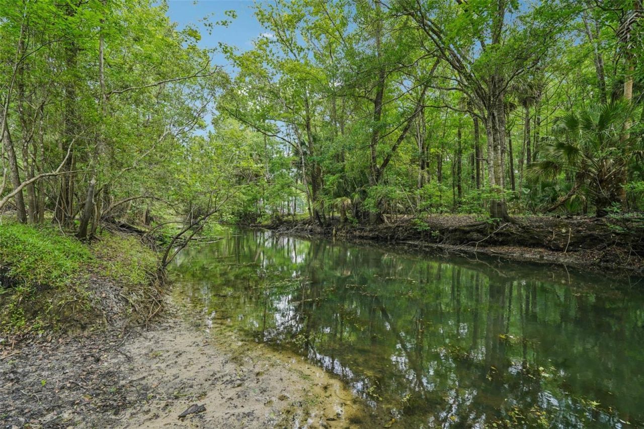 217 S Tuck Point, Inverness, FL 34450 Photo