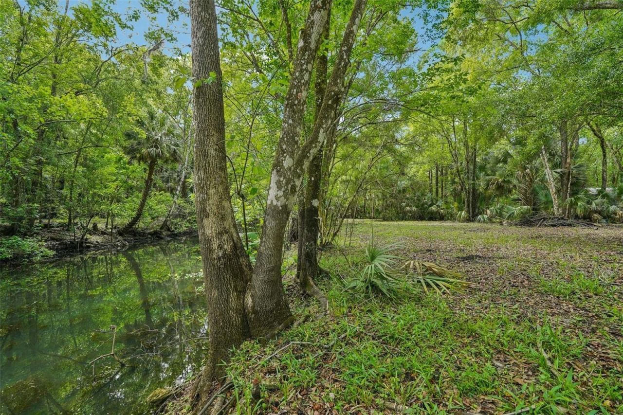 217 S Tuck Point, Inverness, FL 34450 Photo