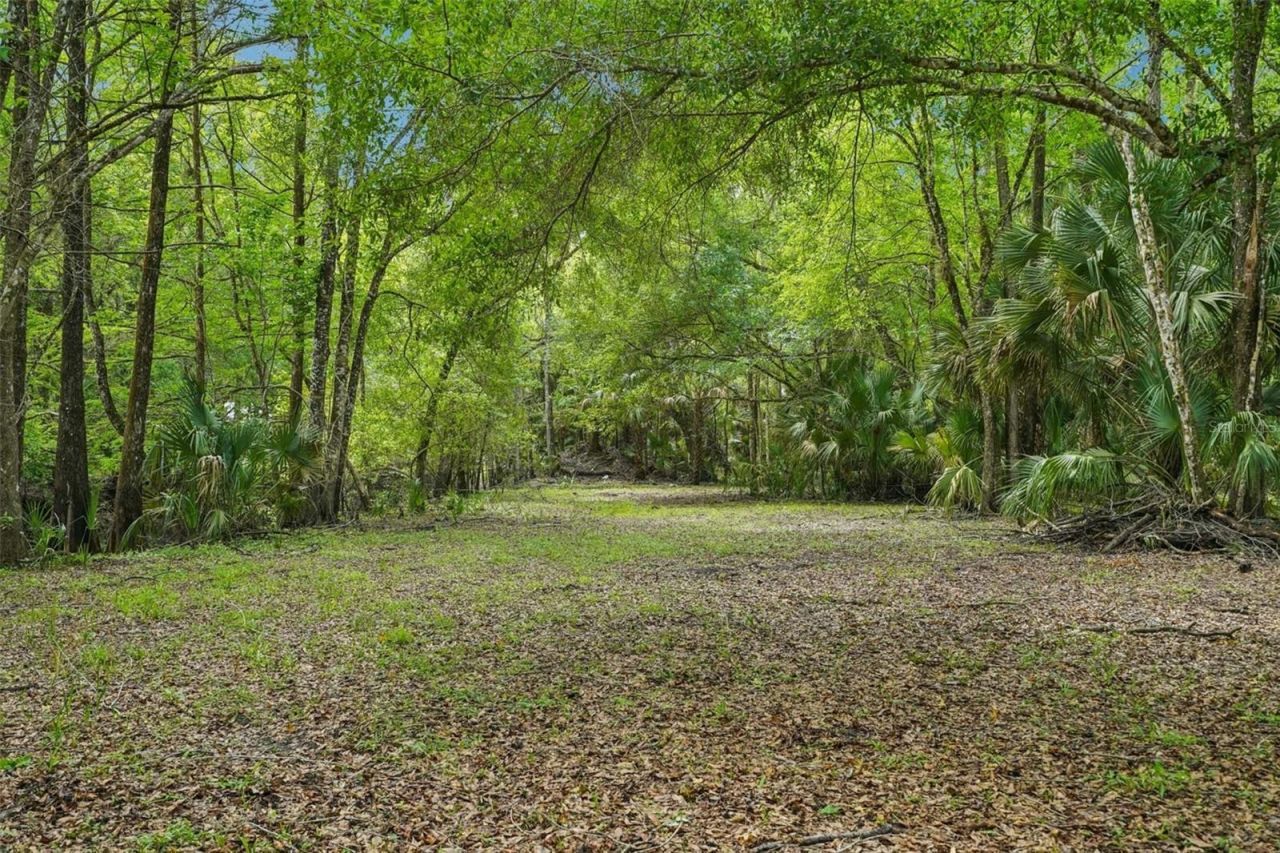 217 S Tuck Point, Inverness, FL 34450 Photo