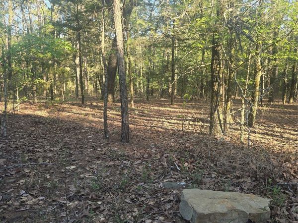 43 Buck Creek , Moyers, OK 74523