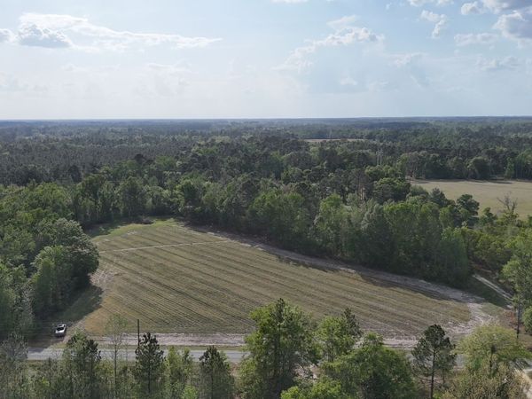 TRACT 1 Spring Branch Road, Baxley, GA 31513