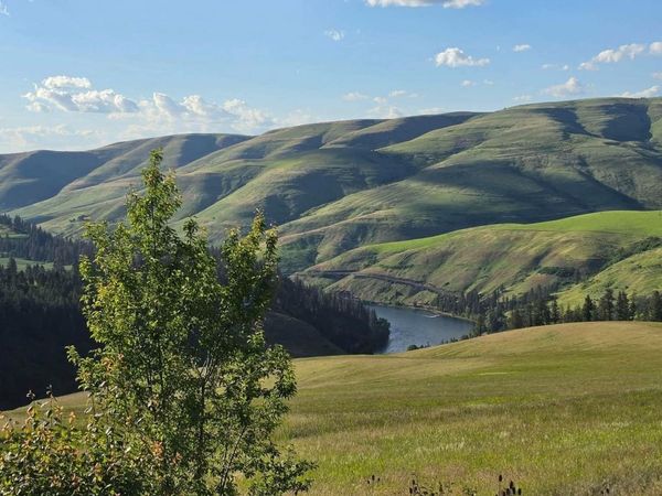 TBD Summit Grade Parcel "d", Lenore, ID 83501