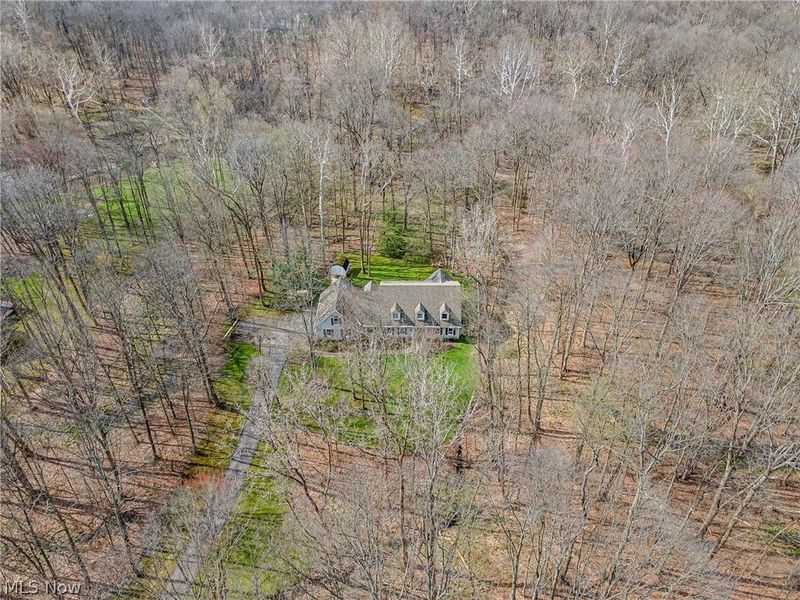 8233 Whispering Pines Drive, Novelty, OH 44072 Photo 46