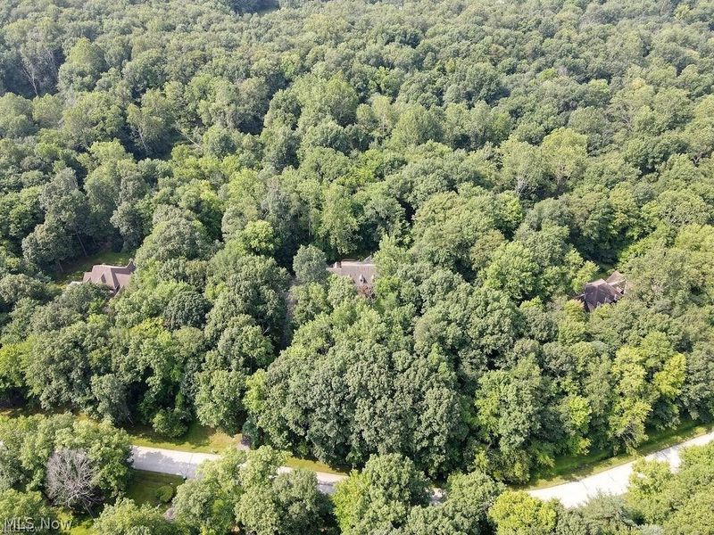 8233 Whispering Pines Drive, Novelty, OH 44072 Photo 50