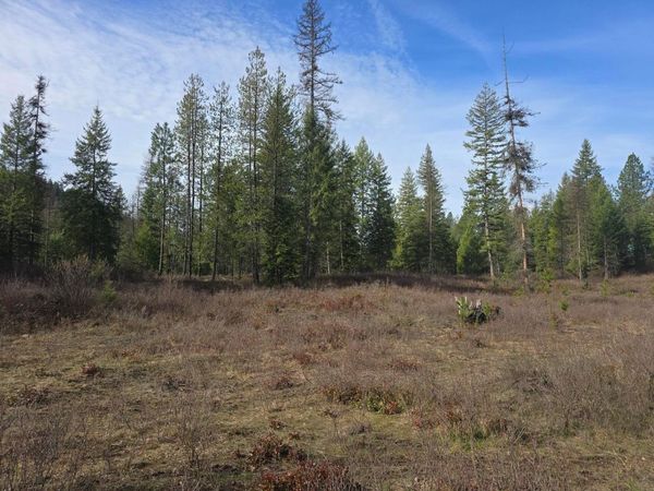 3XXX Lot #11 Larkspur Way, Kettle Falls, WA 99141