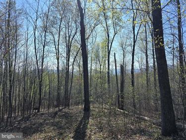 LOT 2 S FT VALLEY RD, MADISON, VA 22727