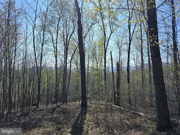 LOT 2 S FT VALLEY RD , MADISON, VA 22727