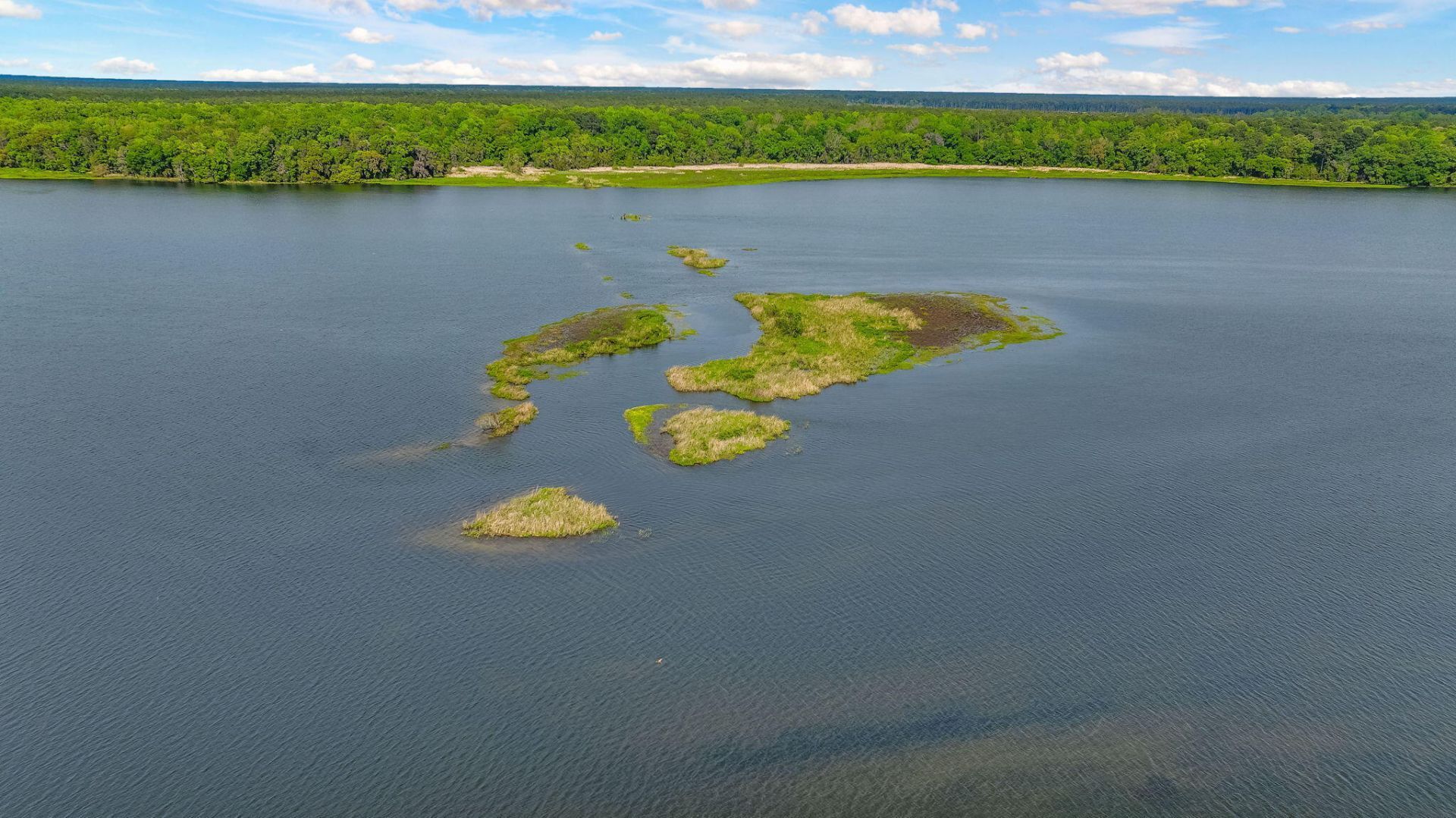 1010 Albert Storm Avenue Photo 32