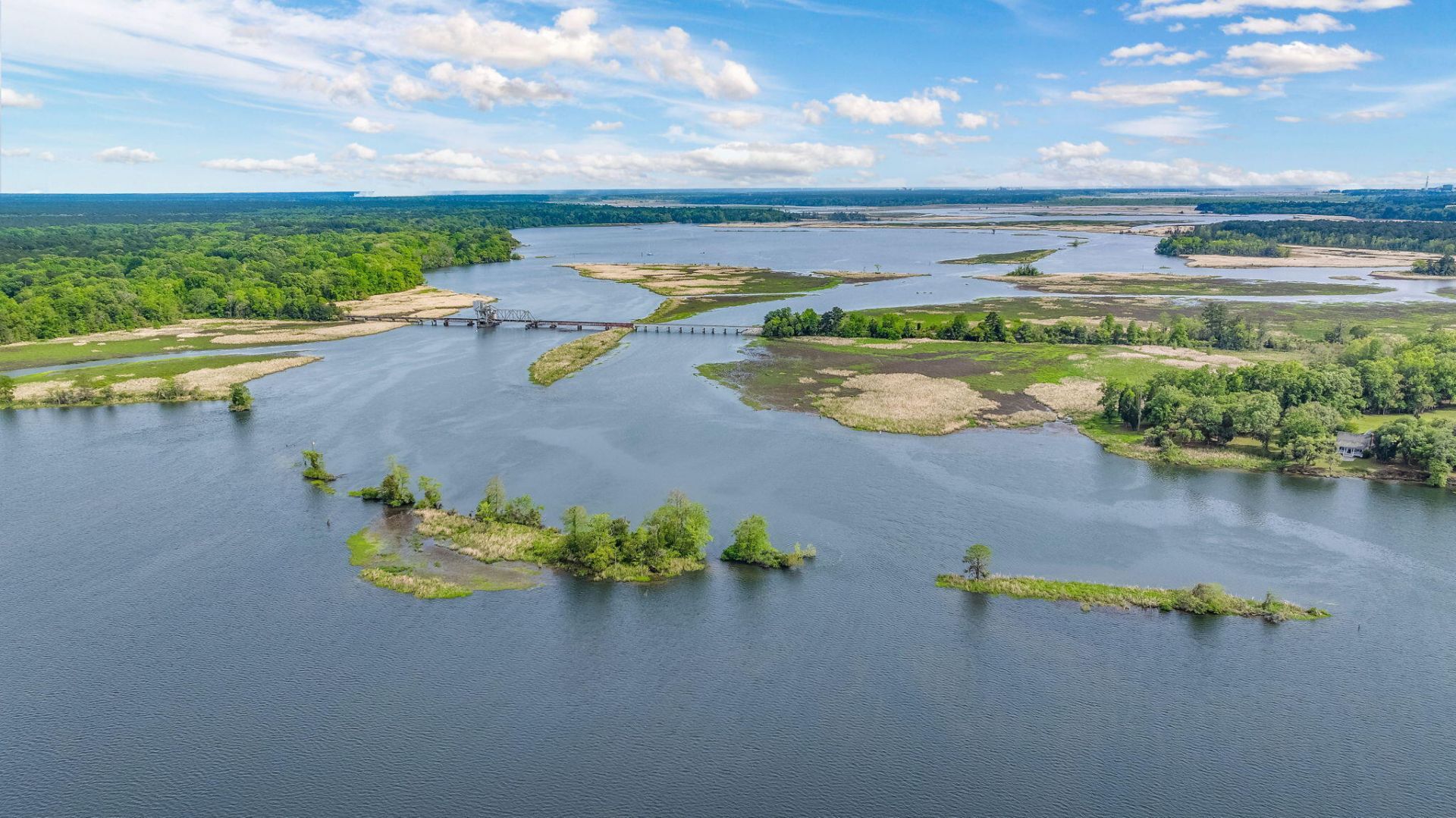 1010 Albert Storm Avenue Photo 33