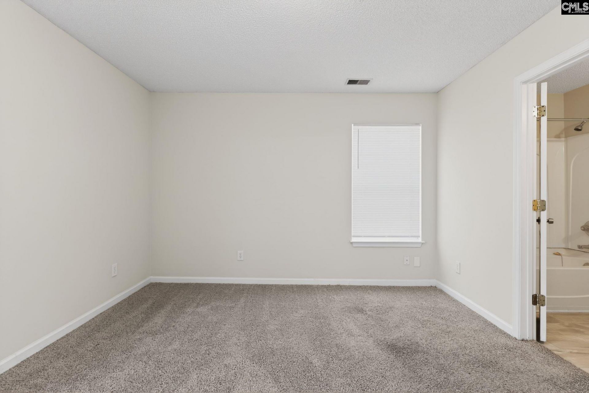 207 Cogburn Road Photo 18