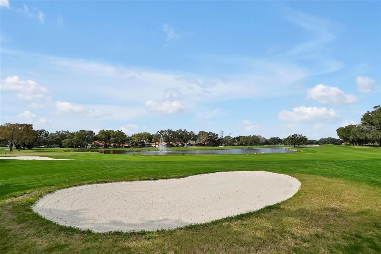 7705 Apple Tree Circle , Orlando, FL 32819 Photo