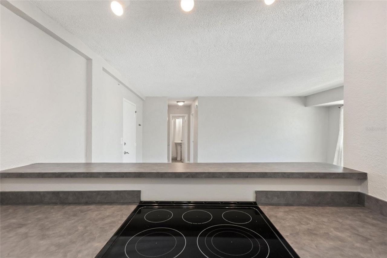 3315 58th Avenue S, Unit 314, Saint Petersburg, FL 33712 Photo
