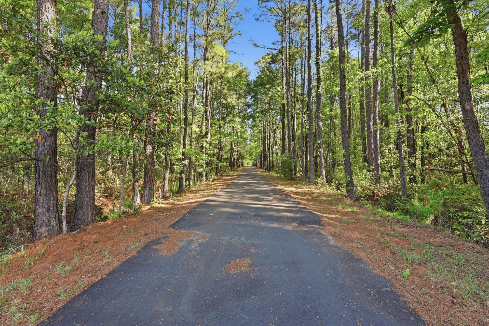 145 Notta Way Photo 56