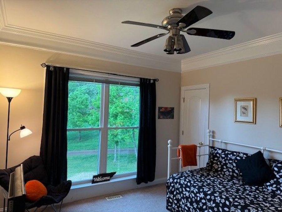 Property Image 59