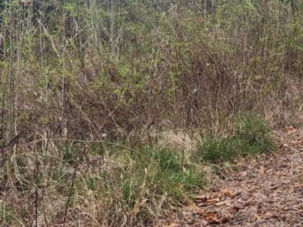 42209 RIDGE ROAD , MECHANICSVILLE, MD 20659