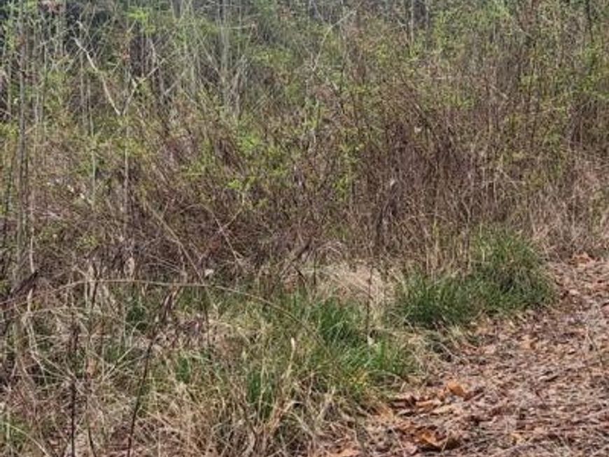 42209 Ridge Road , Mechanicsville, MD 20659 Main Photo