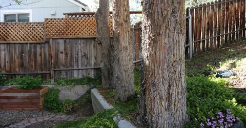 3815 Kings Row, Reno, NV 89503 Photo