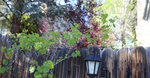 3815 Kings Row, Reno, NV 89503 Photo