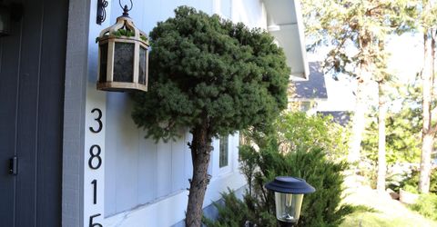 3815 Kings Row, Reno, NV 89503 Photo