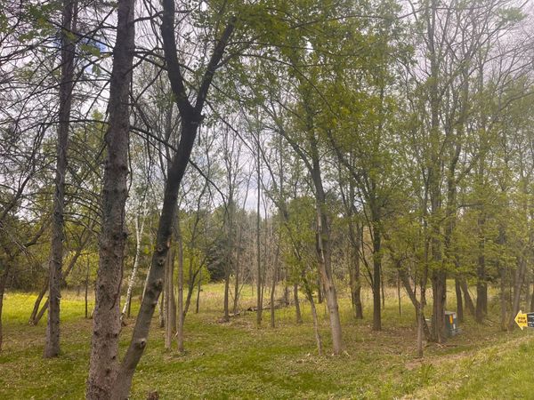 8xx 207th Street, Dresser, WI 54009