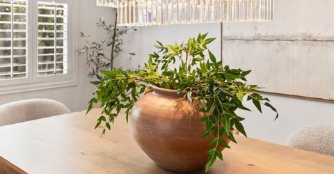 5113 Wedgewood Way, Rocklin, CA 95765 Photo