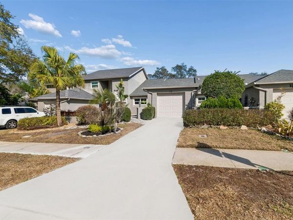 115 STEEPLECHASE LANE , PALM HARBOR, FL 34684