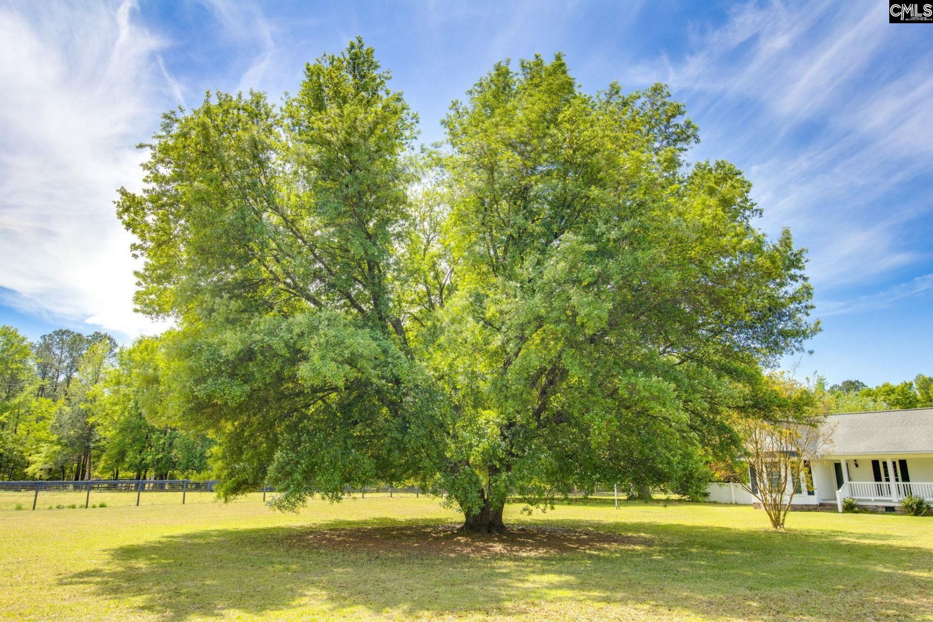 599 Charlotte Thompson School  Photo 7