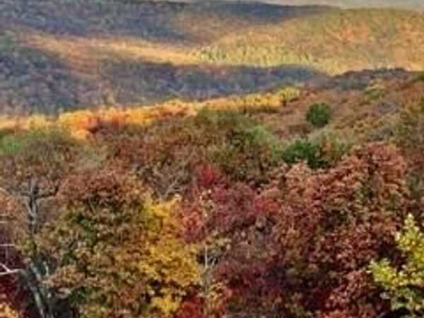 Lot 3 Upper Sassafras Parkway, Jasper, GA 30143