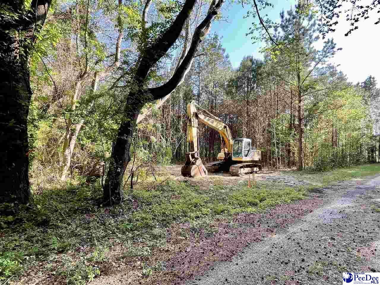 Tbd Beth Dr Photo 10