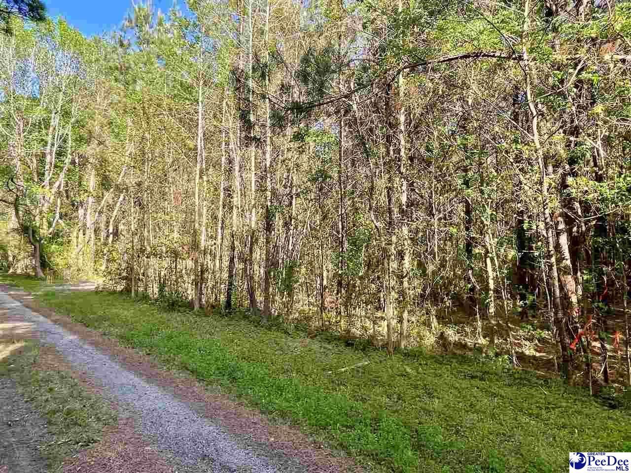 Tbd Beth Dr Photo 12