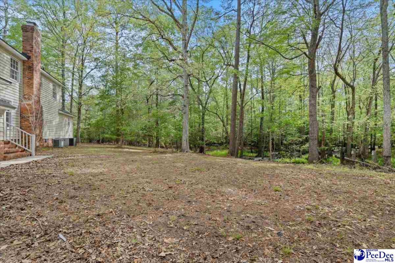 108 Shoshone Drive Photo 36