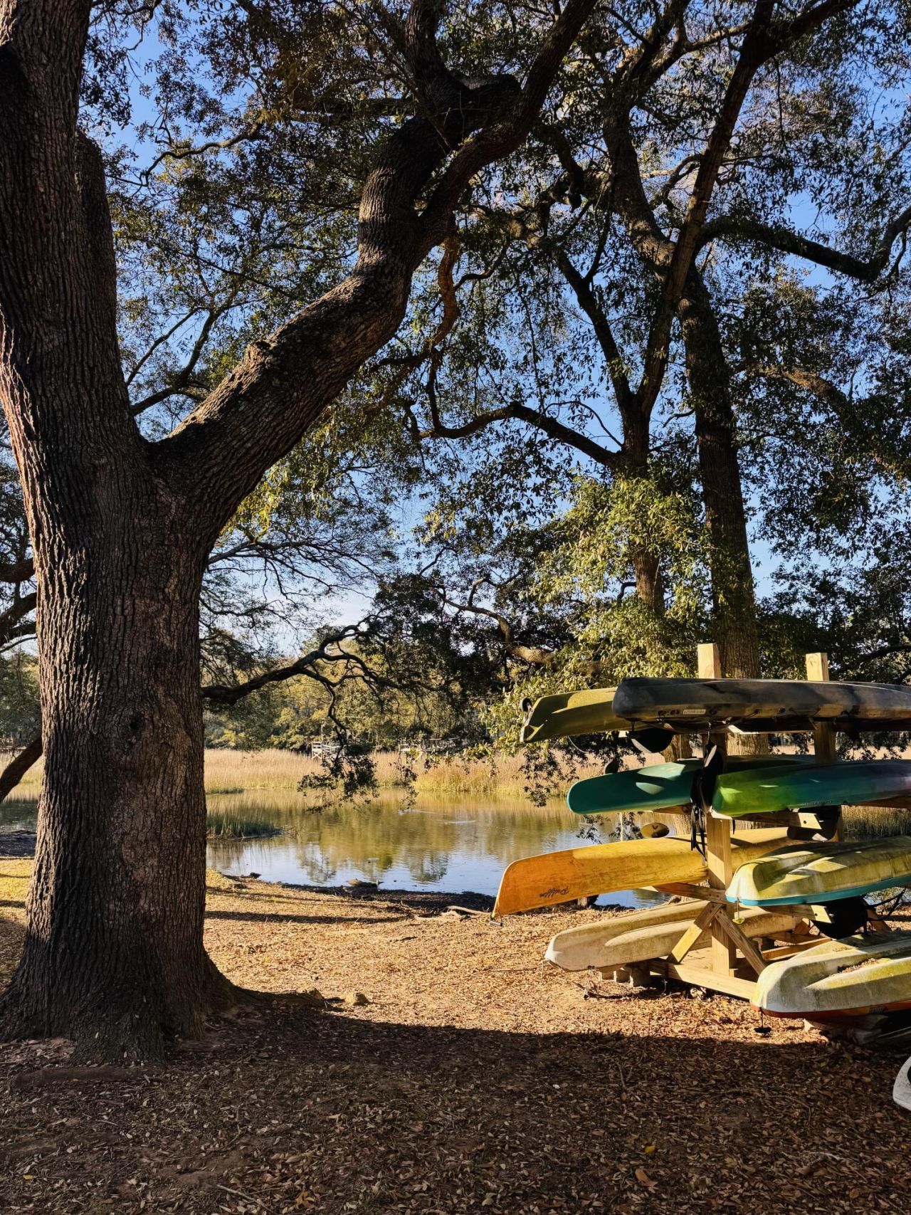 1402 Camp Road Photo 13