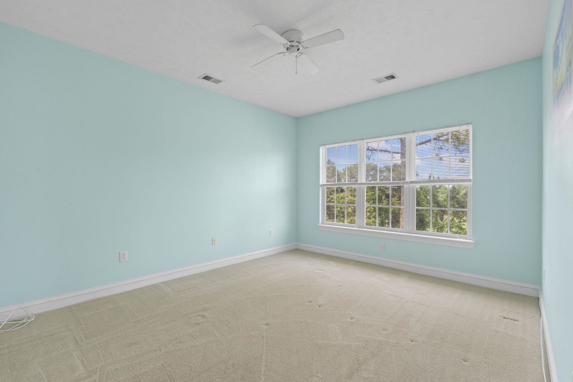 6000 Windsor Green Way Photo 13