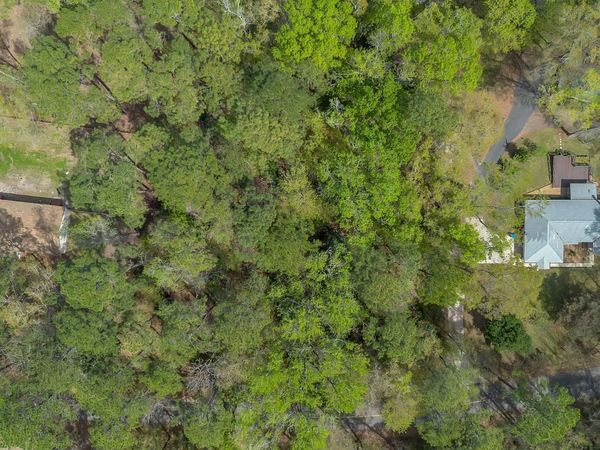 Timber Run, Havana, FL 32333