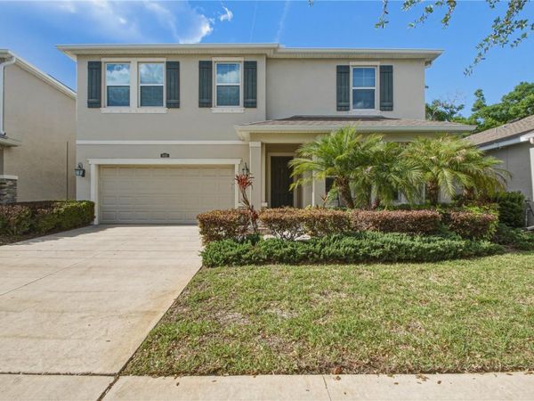8415 PRAISE DRIVE , TAMPA, FL 33625