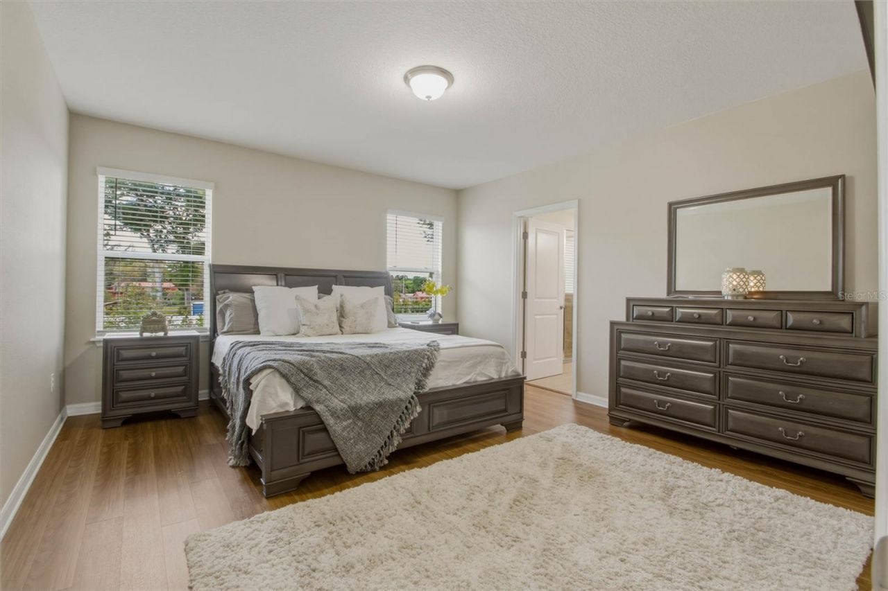 8415 Praise Drive, Tampa, FL 33625 Photo