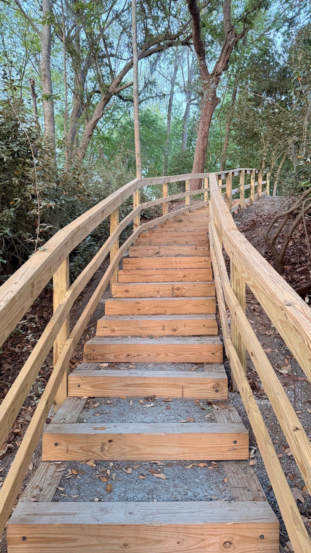 1040 Old Cypress Run Photo 36