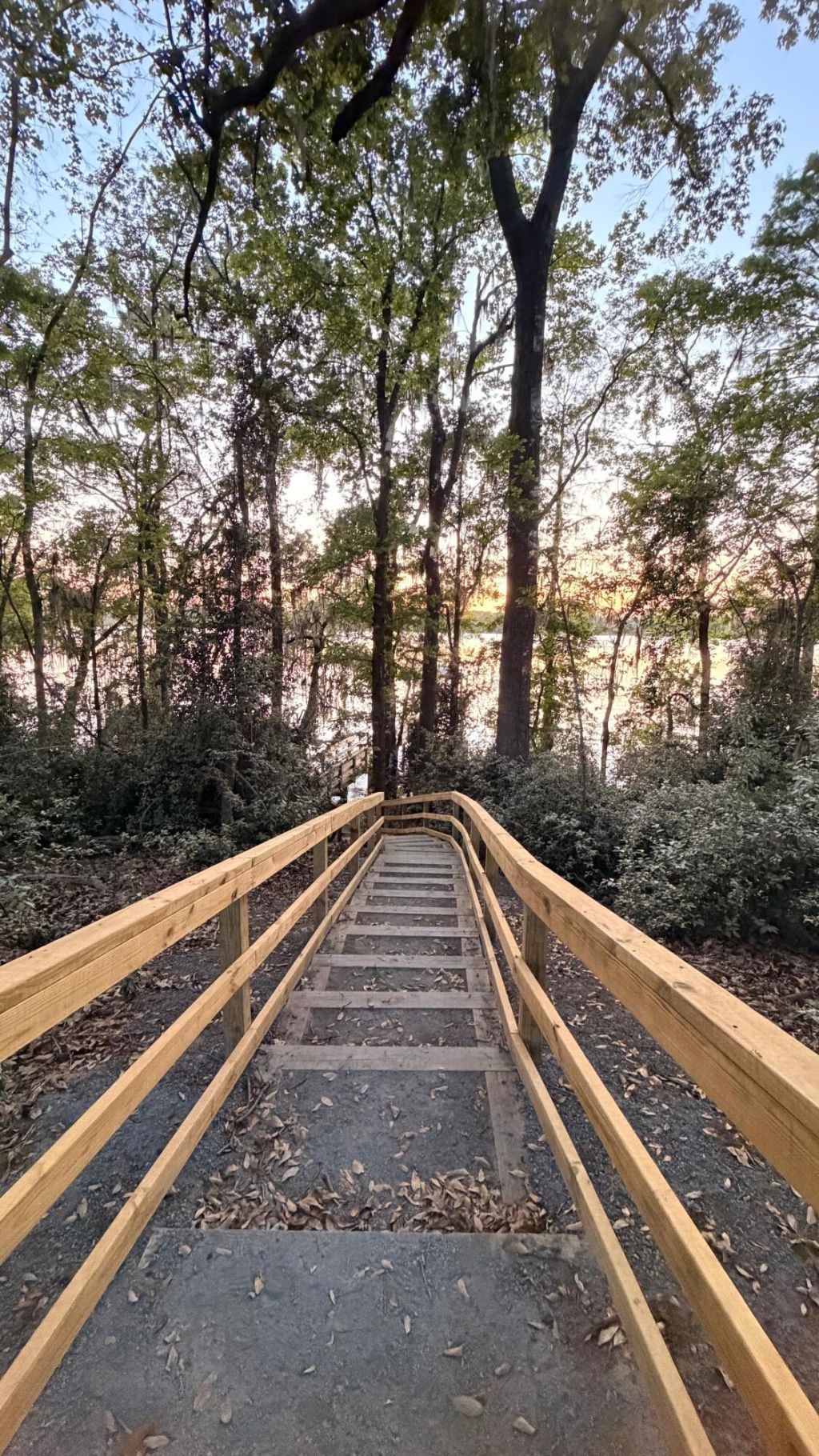 1040 Old Cypress Run Photo 37