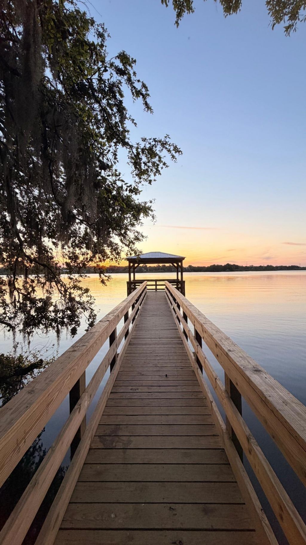 1040 Old Cypress Run Photo 38