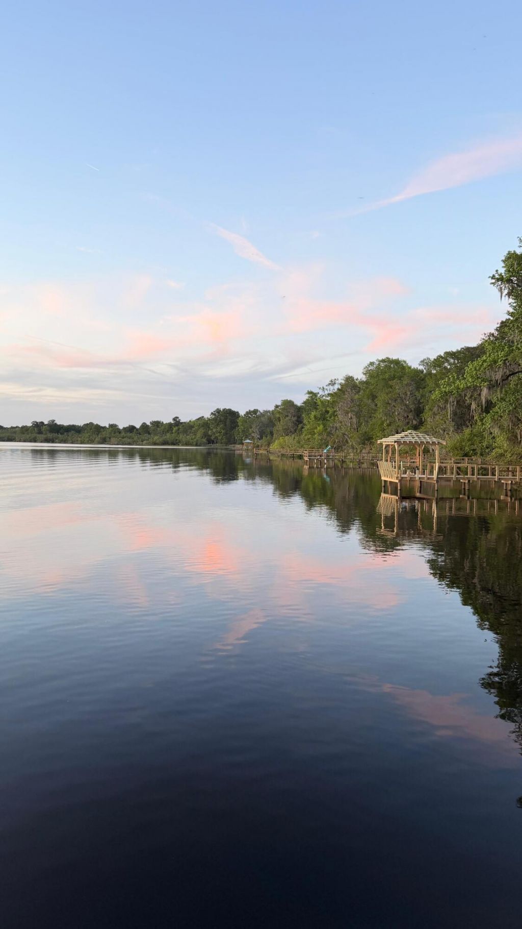 1040 Old Cypress Run Photo 42