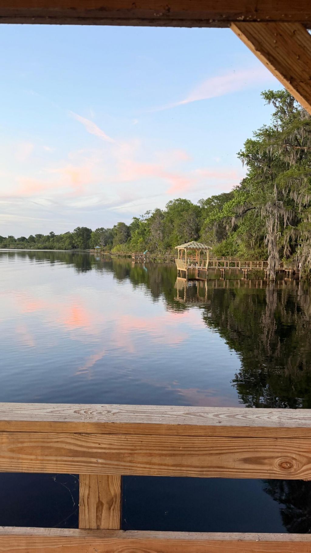 1040 Old Cypress Run Photo 43