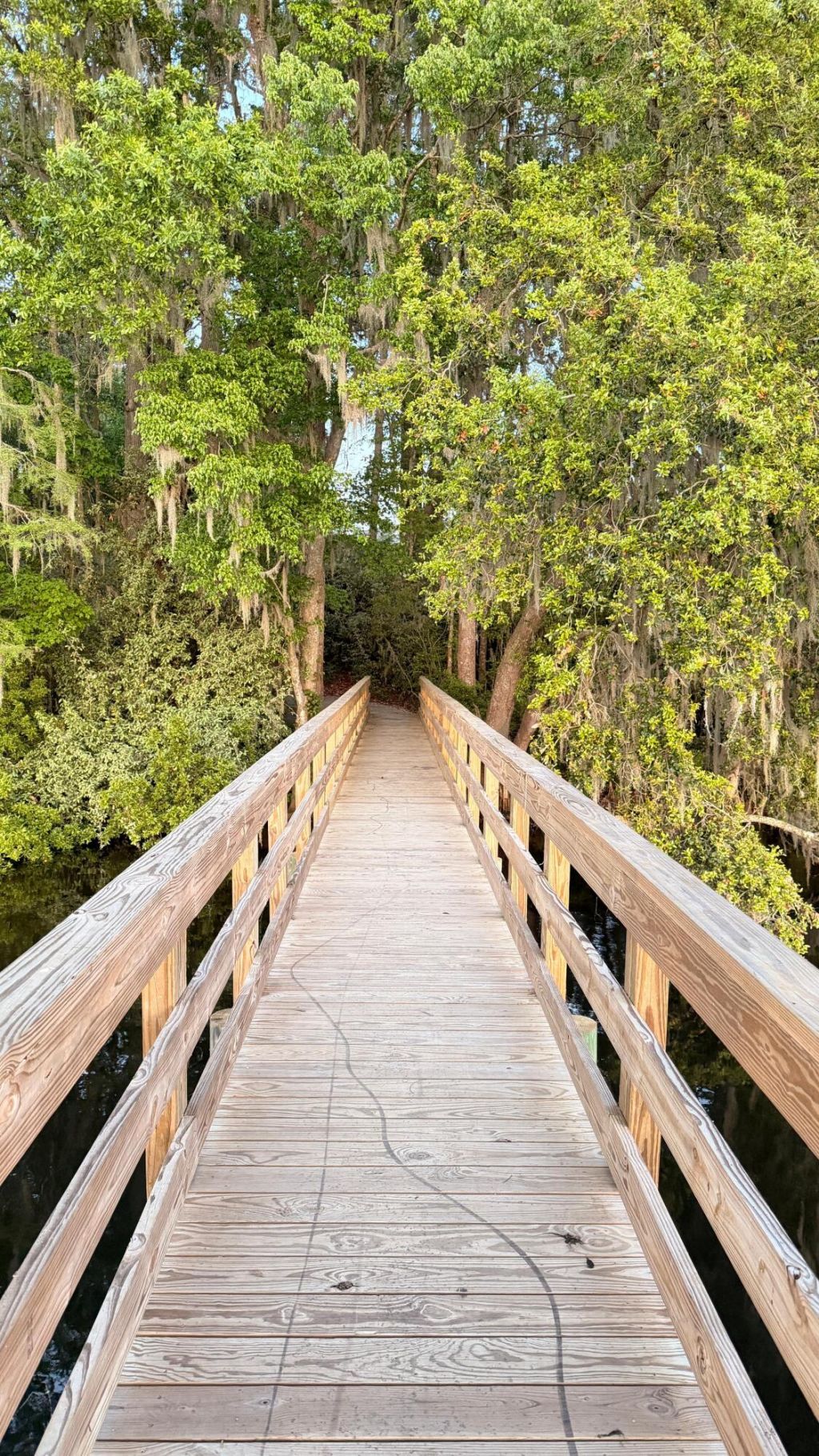 1040 Old Cypress Run Photo 44