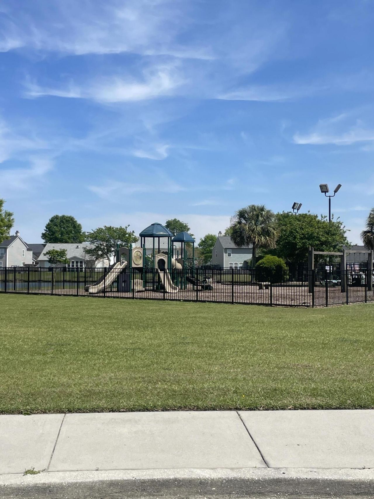 217 Dovetail Circle Photo 43