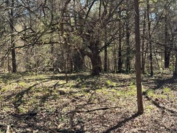 9999 TBD CR 415, Tyler, TX 75704