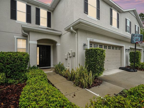 20542 GRAND VISTA LANE , TAMPA, FL 33647